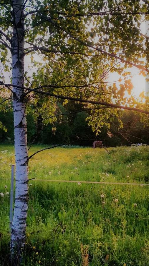 Tuhannen Tarinan Talo Kannuskoski Exterior foto